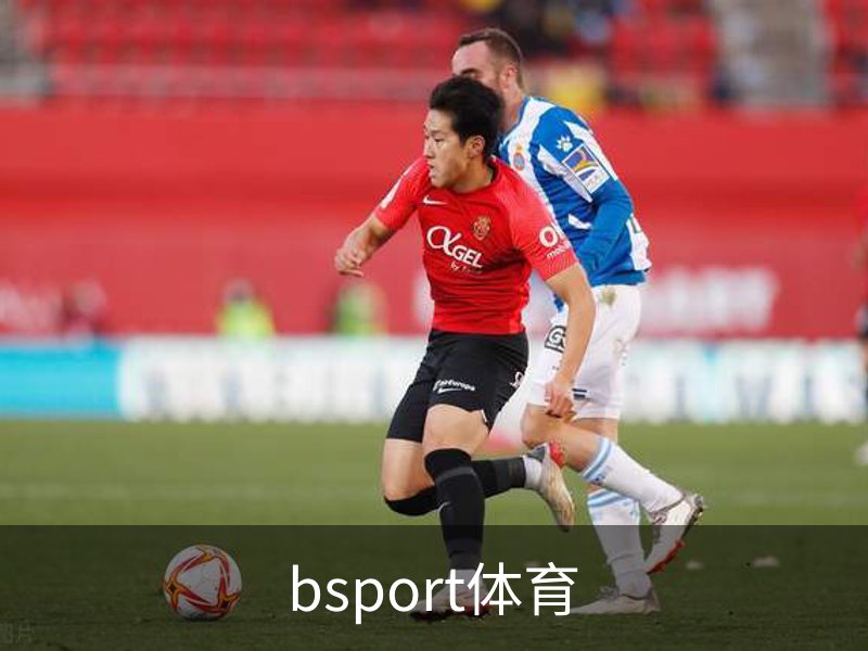 bsport体育介绍